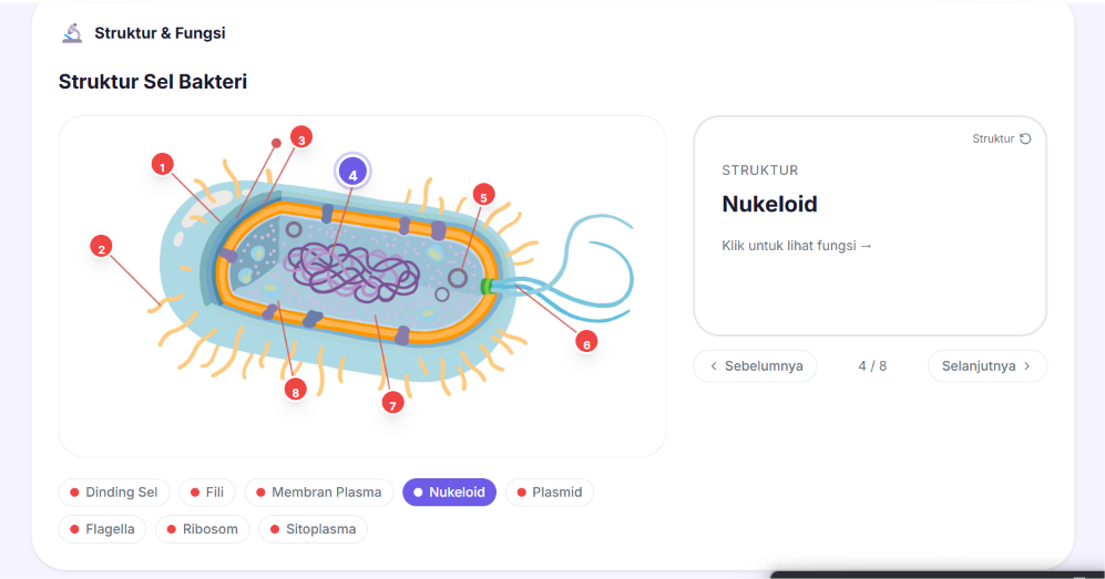 Interactive flash card with image hotspot mapping