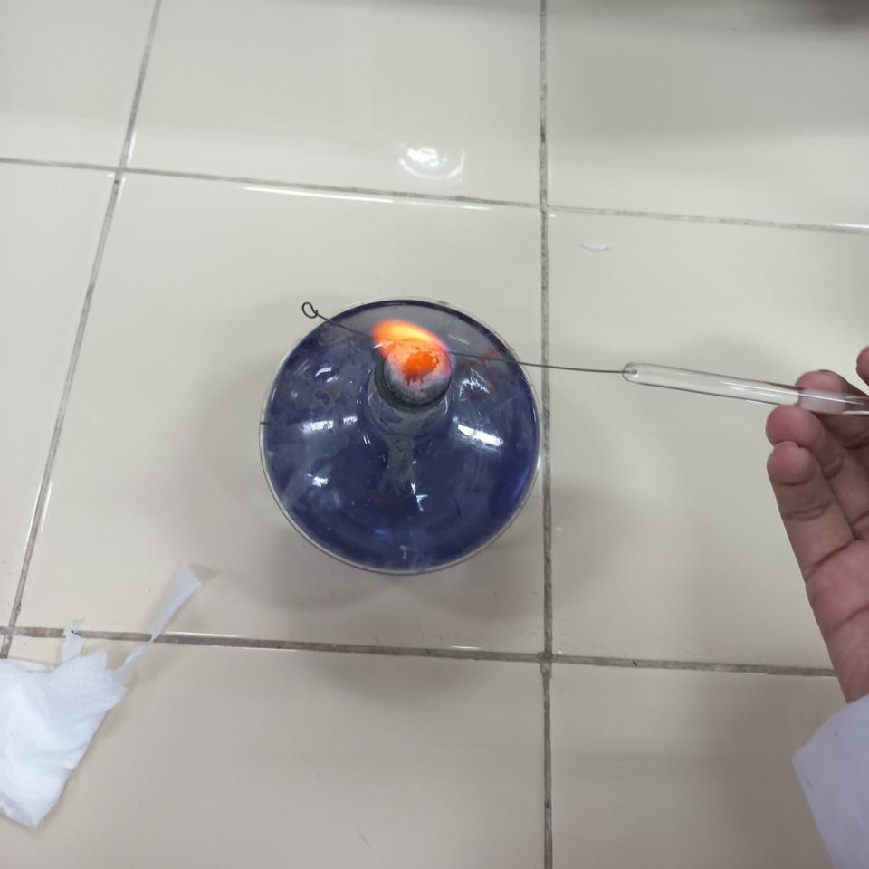 Aseptic transfer technique using inoculation loop near Bunsen burner